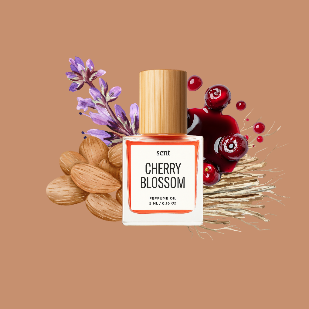 Cherry Blossom: Impression of Lost Cherry